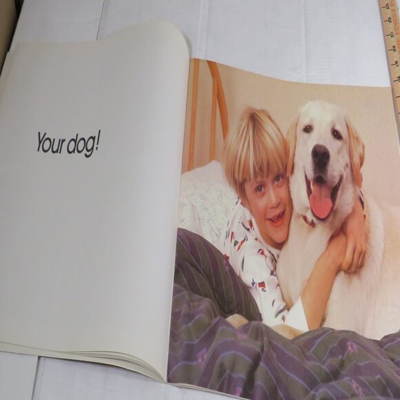 Guess Who BIG BOOKS (almost 2 feet tall) By Margaret Miller Classroom - Picture 8 of 11